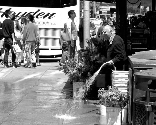 цветочный автоматизации